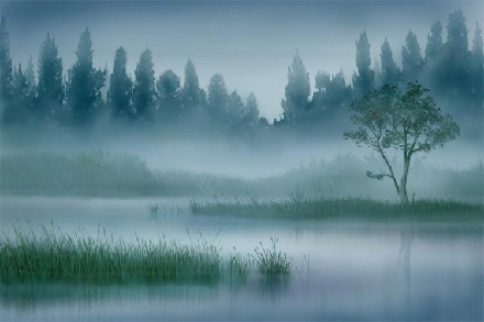 Hazy landscape walk-through image 10