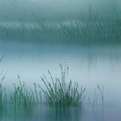 Hazy landscape walk-through image 4