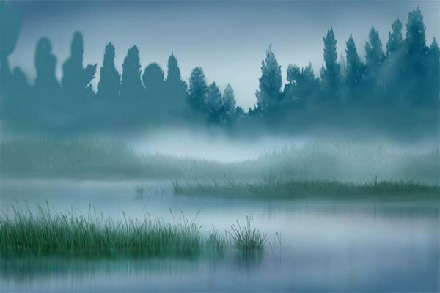 Hazy landscape walk-through image 7