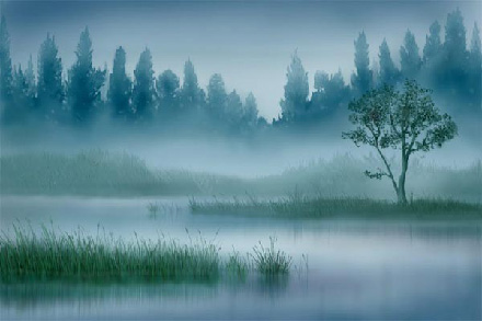 Hazy landscape walk-through image 9